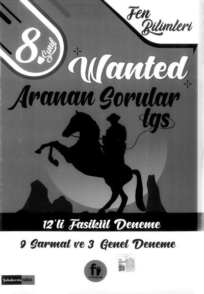 WANTED ARANAN SORULAR LGS 12'Lİ FASİKÜL DENEME Limon Fotokopi