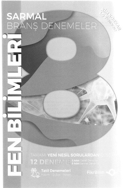 SARMAL BRANŞ DENEMELER FEN BİLİMLERİ 12 DENEME Limon Fotokopi