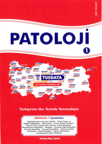 Patoloji 1 TUSDATA Limon Fotokopi