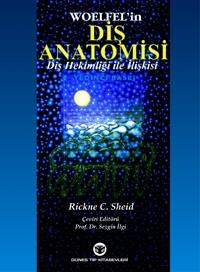 Diş Anatomisi Diş Hekimliği ile İlişkisi, Woelfel, Rickne Sheid, Sezgin İlgi Limon Fotokopi