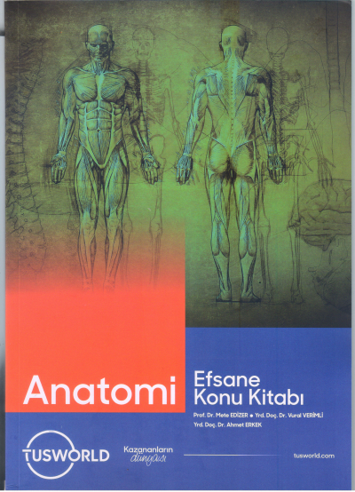 Anatomi Efsane Konu Kitabı Tusworld Limon Fotokopi