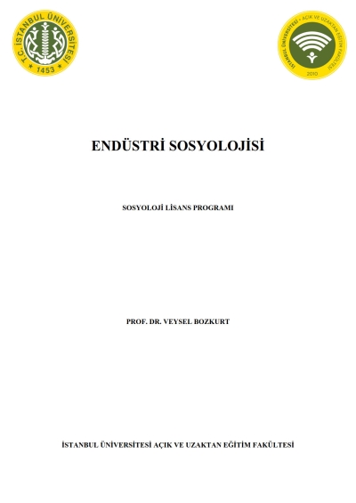 Endüstri Sosyolojisi Limon Fotokopi