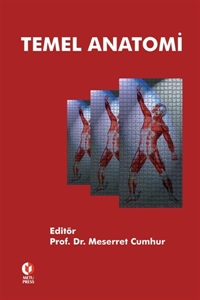 Temel Anatomi ODTÜ Yayıncılık Akademi Limon Fotokopi