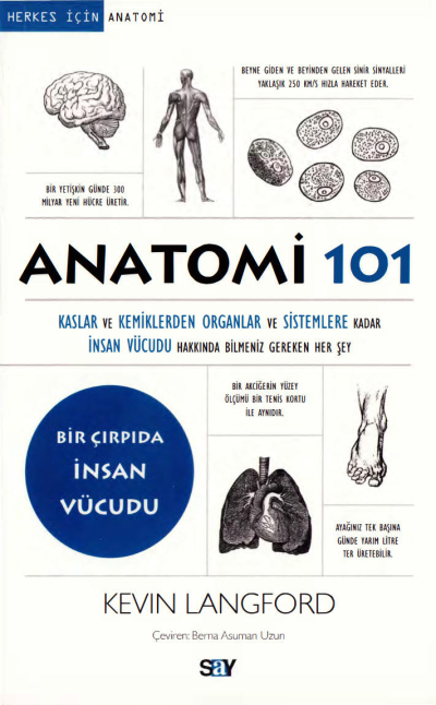 Anatomi 101 Say Yayınları Limon Fotokopi