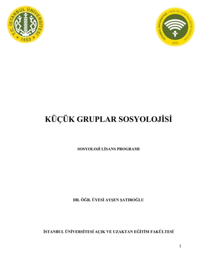 Küçük Gruplar Sosyolojisi Limon Fotokopi