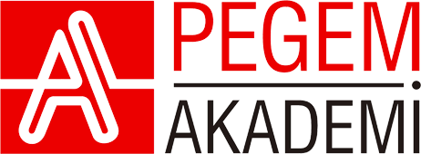PEGEM AKADEMİ Logo Limon Fotokopi
